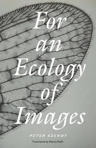 For an Ecology of Images von Verso Books