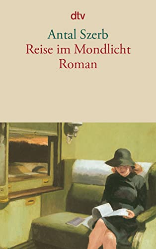 Reise im Mondlicht: Roman