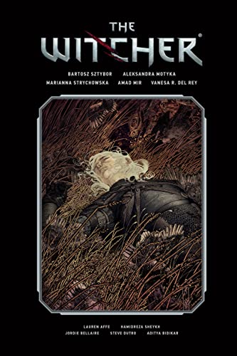 The Witcher Library Edition Volume 2 von Dark Horse Books