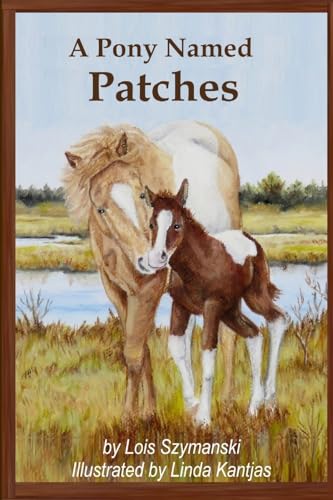 A Pony Named Patches von Lulu.com