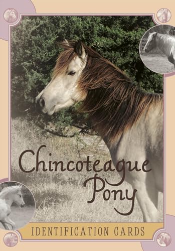 Chincoteague Pony Identification Cards: Set 2 Chincoteague Pony Identification Cards: Set 2 von Schiffer Kids