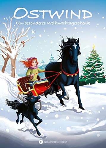 Ostwind – Ein besonderes Weihnachtsgeschenk: Pferdegeschichten für Leseanfänger ab 6 Jahren (Ostwind für Erstleser) von cbj