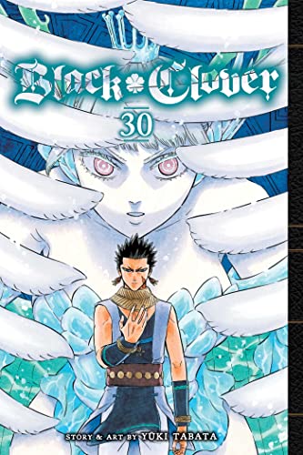 Black Clover, Vol. 30 (BLACK CLOVER GN, Band 30)