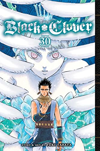 Black Clover, Vol. 30: Volume 30 (BLACK CLOVER GN, Band 30) von Simon & Schuster