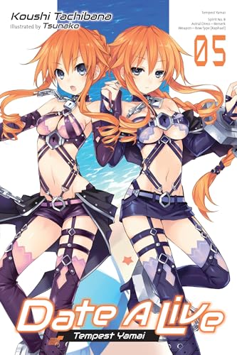 Date A Live, Vol. 5 (light novel) (DATE A LIVE LIGHT NOVEL SC) von Yen Press