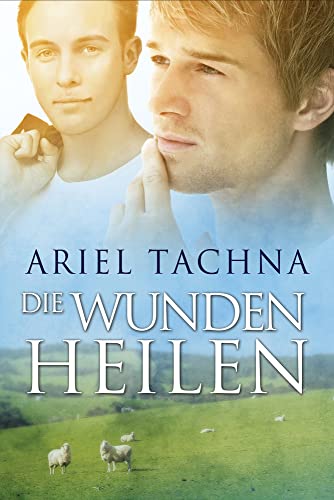 Die Wunden heilen: Volume 5 (New Edition, New) (Lang Downs (Deutsch)) von Dreamspinner Press LLC