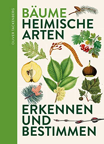 Bäume: Heimische Baumarten erkennen & bestimmen von Favoritenpresse GmbH