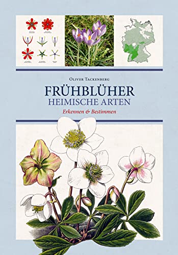 Frühblüher. Heimische Arten.: Frühlingsblumen bestimmen & erkennen