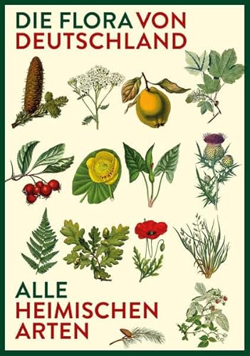Vorzugsausgabe: Die Flora von Deutschland. Alle heimischen Arten: Über 2.500 Pflanzen. Mit Bestimmungsschlüssel.