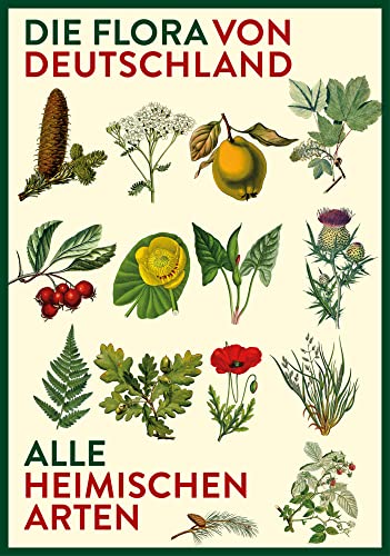 Vorzugsausgabe: Die Flora von Deutschland. Alle heimischen Arten: Über 2.500 Pflanzen. Mit Bestimmungsschlüssel. Vorzugsausgabe: Die Flora von Deutschland. Alle heimischen Arten: Über 2.500 Pflanzen. Mit Bestimmungsschlüssel.