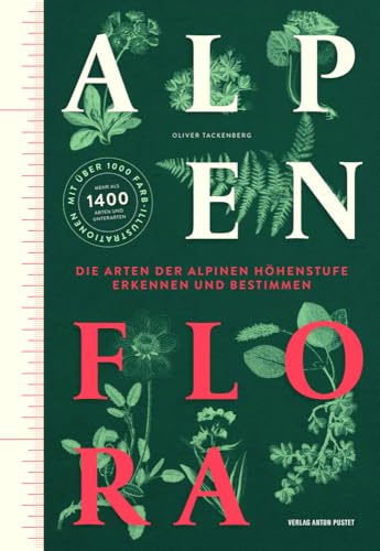 Alpenflora: Die Arten der alpinen Höhenstufe erkennen und bestimmen. Das umfangreiche und farbig illustrierte Bestimmungsbuch der typischen Alpenpflanzen! von Pustet Anton