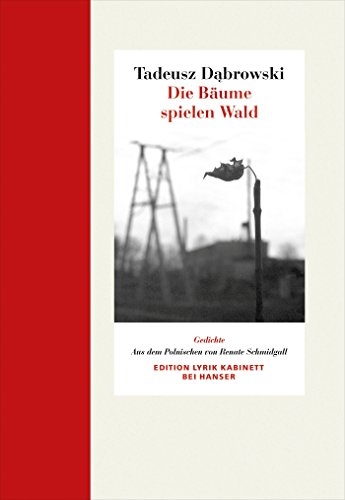 Die Bäume spielen Wald: Gedichte. Edition Lyrik Kabinett von Hanser