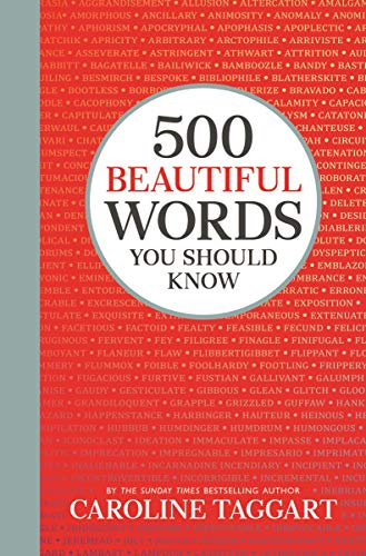 500 Beautiful Words You Should Know von Michael O'Mara Books