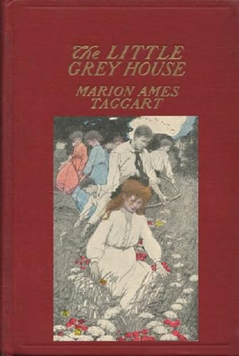The Little Grey House von Anson Street Press