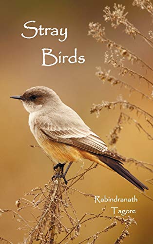 Stray Birds Stray Birds