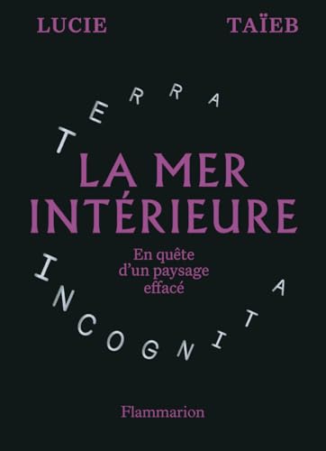 La mer intérieure: En quête d'un paysage effacé von FLAMMARION