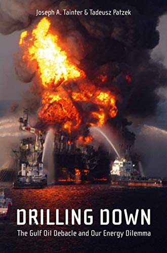 Drilling Down: The Gulf Oil Debacle and Our Energy Dilemma von Springer