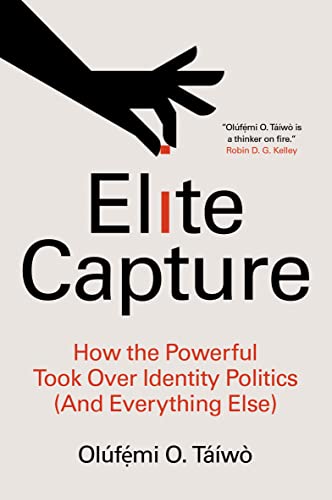 Elite Capture: How the Powerful Took Over Identity Politics (And Everything Else) von Haymarket Books