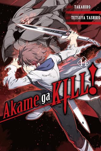 Akame ga Kill!, Vol. 14 (AKAME GA KILL GN, Band 14)