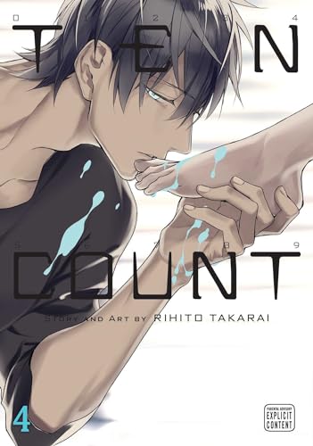 Ten Count, Vol. 4 (TEN COUNT GN, Band 4) von Simon & Schuster