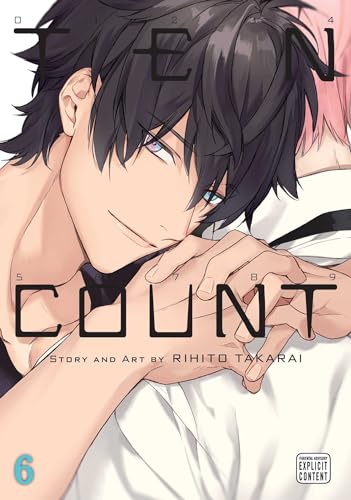 Ten Count, Vol. 6: Volume 6 (TEN COUNT GN, Band 6)