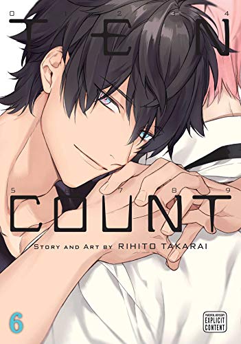 Ten Count, Vol. 6: Volume 6 (TEN COUNT GN, Band 6)