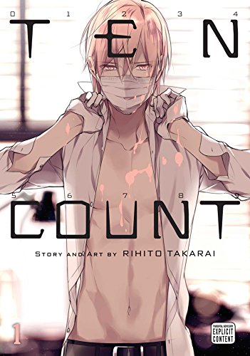 Ten Count Volume 1 (TEN COUNT GN, Band 1)