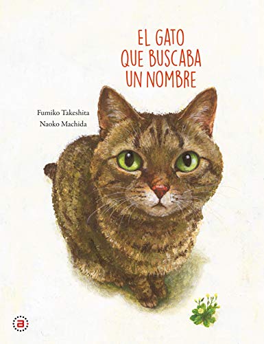 El gato que buscaba un nombre (Akal Infantil, Band 1) von Ediciones Akal