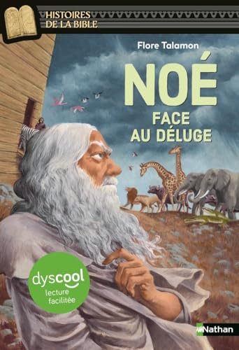 Noé face au déluge - Dyscool von NATHAN