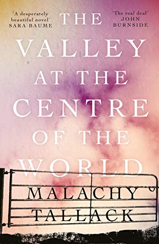 The Valley at the Centre of the World von Canongate Books