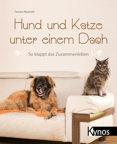 Hund und Katze unter einem Dach: So klappt das Zusammenleben