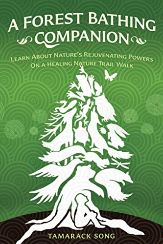 A Forest Bathing Companion: Learn About Nature's Rejuvenating Powers On a Healing Nature Trail Walk