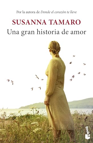 Una gran historia de amor (Novela)