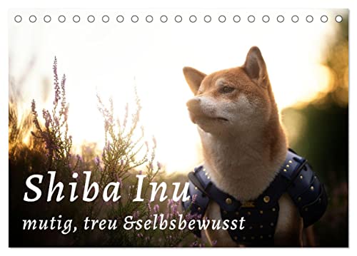 Shiba Inu - mutig, treu, selbstbewusst (Tischkalender 2025 DIN A5 quer), CALVENDO Monatskalender