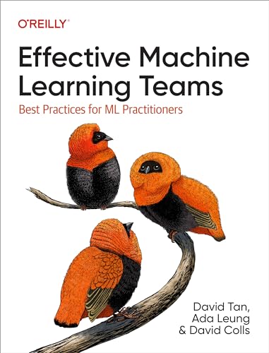 Effective Machine Learning Teams: Best Practices for ML Practitioners von O'Reilly Media