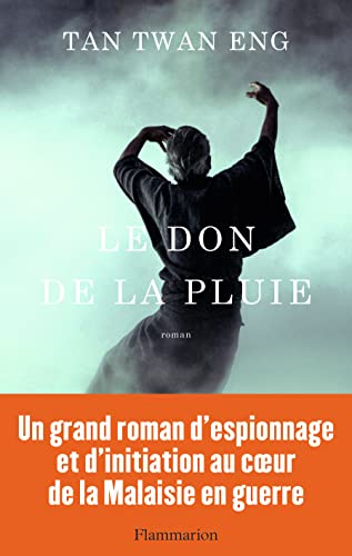 Le Don de la pluie von FLAMMARION