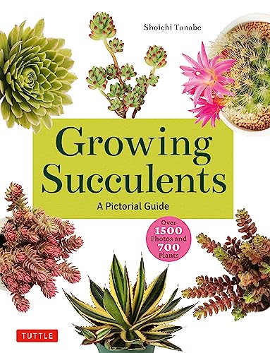 Growing Succulents: A Pictorial Guide von Tuttle Publishing