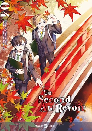 Un second au revoir T04 von DELCOURT