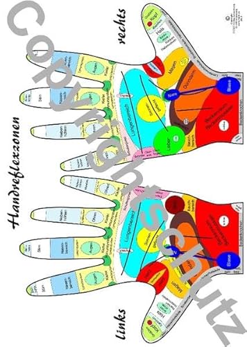 Handreflexzonen Übersichtskarte DIN A4 (Lehrtafeln / Übersichtskarten)