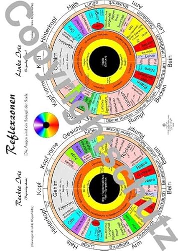 Irisdiagnosekarte - A4 (Lehrtafeln / Übersichtskarten) von FITMIT-Verlag