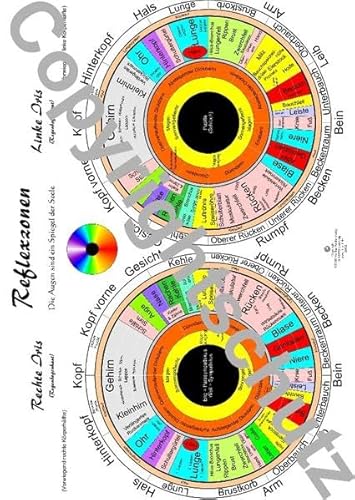 Irisdiagnosekarte DIN A5 (Lehrtafeln / Übersichtskarten) von Fitmit-Verlag