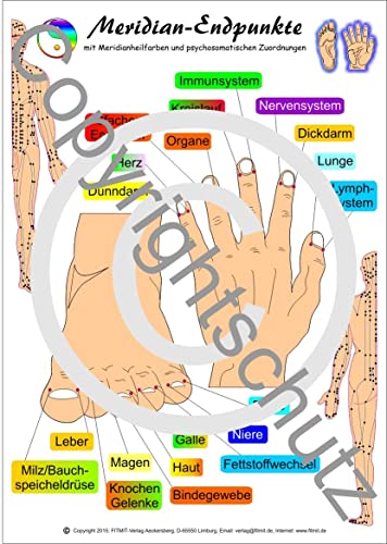 Meridian-Endpunkte - Lehrkarte in DIN A4 von FITMIT-Verlag