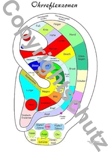 Ohrreflexzonen Übersichtskarte DIN A5 (Lehrtafeln / Übersichtskarten)