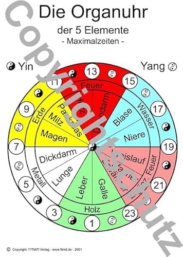 Organuhr Übersichtskarte DIN A4 (Lehrtafeln) von FITMIT-Verlag