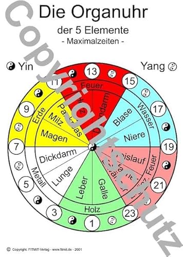 Organuhr Übersichtskarte DIN A4 (Lehrtafeln) von Fitmit-Verlag