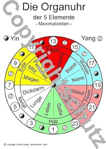 Organuhr Übersichtskarte DIN A5 (Lehrtafeln / Übersichtskarten) von FITMIT-Verlag