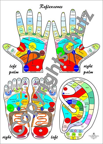 Reflexology Chart A4: Overview with feet, hands and ear: DIN A4 - Overview with feet, hands and ear (Lehrtafeln / Übersichtskarten) von FITMIT-Verlag