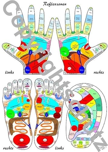 Reflexzonenübersicht - Füße, Hände und Ohr - A3 Karte: Füße, Hände und Ohr in DIN A3 (Lehrtafeln / Übersichtskarten) von FITMIT-Verlag
