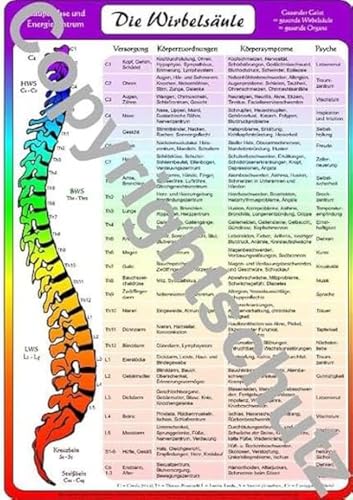 Wirbelsäulenzonen Übersichtskarte DIN A5 (Lehrtafeln / Übersichtskarten)