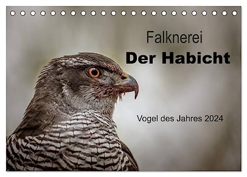 Falknerei Der Habicht (Tischkalender 2024 DIN A5 quer), CALVENDO Monatskalender von CALVENDO